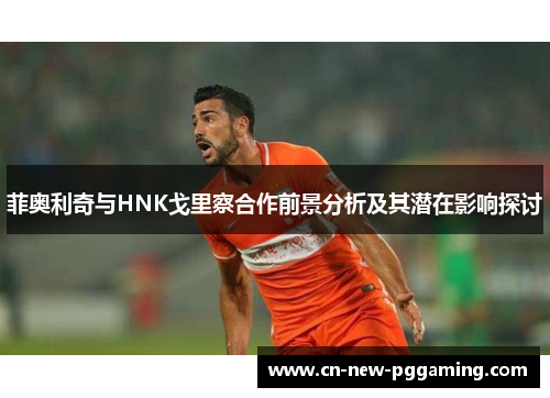 菲奥利奇与HNK戈里察合作前景分析及其潜在影响探讨