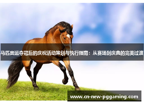马匹奥运夺冠后的庆祝活动策划与执行指南：从赛场到庆典的完美过渡