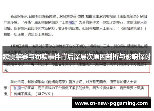 魏震禁赛与罚款事件背后深层次原因剖析与影响探讨