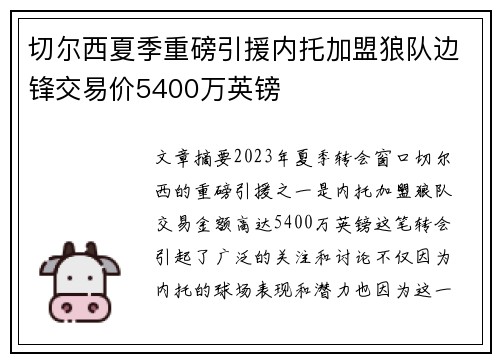 切尔西夏季重磅引援内托加盟狼队边锋交易价5400万英镑